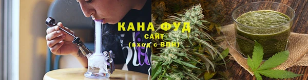 гидра Абаза