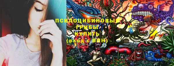 прущие крисы Алзамай