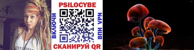 Псилоцибиновые грибы Psilocybe  Саянск 