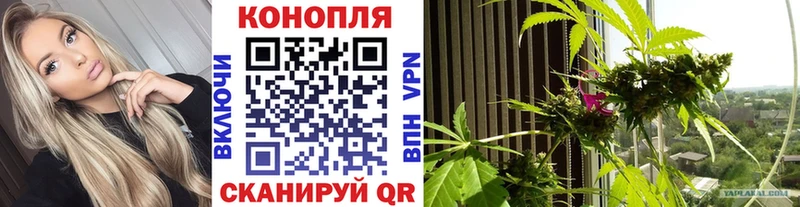 как найти закладки  kraken как зайти  Шишки марихуана Ganja  Саянск 
